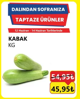 Özhan Market kataloğu | Fırsat avcıları için teklifler | 2026-06-12T00:00:00.000Z - 2026-06-14T00:00:00.000Z