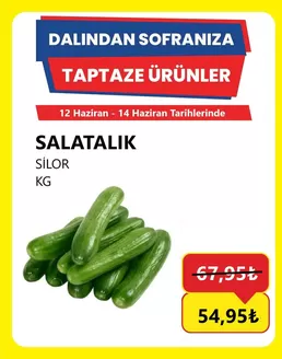Özhan Market kataloğu, Çataklı (Elazığ) | Sizin için en iyi tekliflerimiz | 2026-06-12T00:00:00.000Z - 2026-06-14T00:00:00.000Z