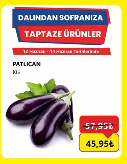 Özhan Market kataloğu | Fırsat avcıları için harika teklifler | 2026-06-12T00:00:00.000Z - 2026-06-14T00:00:00.000Z