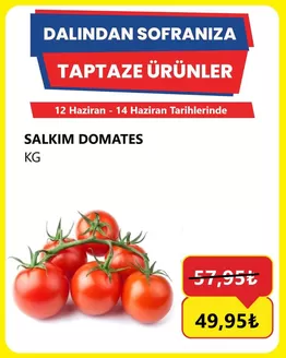 Özhan Market kataloğu | Cazip teklifleri keşfedin | 2026-06-12T00:00:00.000Z - 2026-06-14T00:00:00.000Z