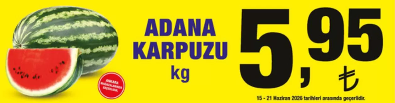 Çağdaş kataloğu, Ahlat | Çağdaş katalog | 2026-06-15T00:00:00.000Z - 2026-06-21T00:00:00.000Z