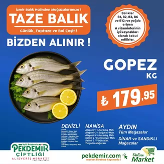 Pekdemir kataloğu, Alaşehir | Pekdemir katalog | 2026-06-22T00:00:00.000Z - 2026-07-06T00:00:00.000Z
