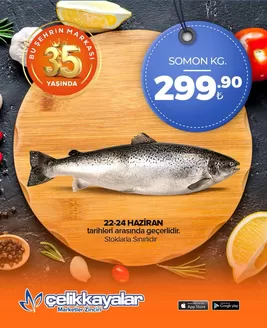Çelikkayalar kataloğu | Oferta | 2026-06-22T00:00:00.000Z - 2026-06-24T00:00:00.000Z