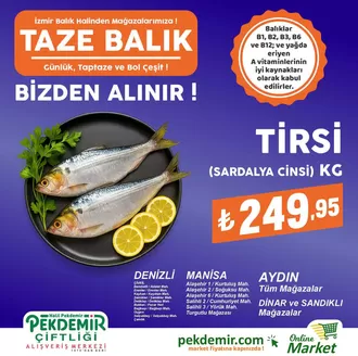 Pekdemir kataloğu, Akyaka | Tüm fırsat avcıları için en iyi teklifler | 2026-06-24T00:00:00.000Z - 2026-07-08T00:00:00.000Z