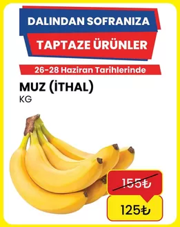 Özhan Market kataloğu, Güllük | Tüm müşteriler için harika teklif | 2026-06-26T00:00:00.000Z - 2026-06-28T00:00:00.000Z