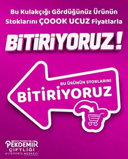 Pekdemir kataloğu | Tüm müşteriler için harika teklif | 2026-06-29T00:00:00.000Z - 2026-07-13T00:00:00.000Z