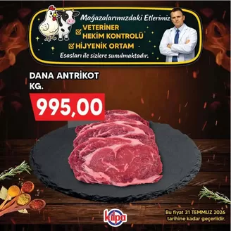 Kilpa kataloğu, Ardeşen | kilpa katalog | 2026-07-08T00:00:00.000Z - 2026-07-31T00:00:00.000Z