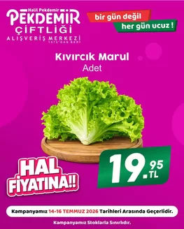 Pekdemir kataloğu | Fırsat avcıları için teklifler | 2026-07-14T00:00:00.000Z - 2026-07-16T00:00:00.000Z
