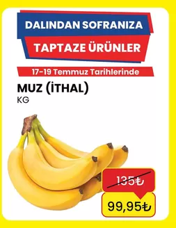 Özhan Market kataloğu | Keşfedilecek yeni teklifler | 2026-07-17T00:00:00.000Z - 2026-07-19T00:00:00.000Z