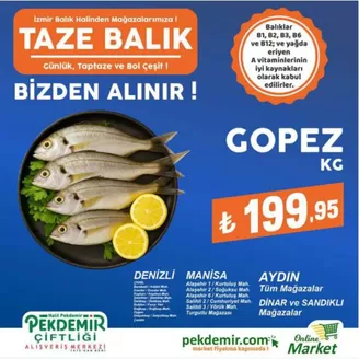 Pekdemir kataloğu | Pekdemir katalog | 2026-07-19T00:00:00.000Z - 2026-08-02T00:00:00.000Z