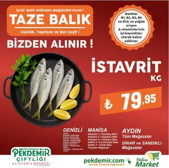 Pekdemir kataloğu | Tüm müşteriler için harika teklif | 2026-07-25T00:00:00.000Z - 2026-08-08T00:00:00.000Z