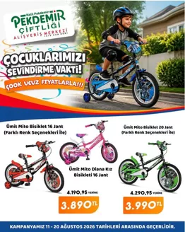 Pekdemir kataloğu | Pekdemir katalog | 2026-08-11T00:00:00.000Z - 2026-08-20T00:00:00.000Z