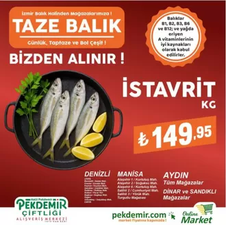 Pekdemir kataloğu | Güncel özel kampanyalar | 2026-08-19T00:00:00.000Z - 2026-09-02T00:00:00.000Z