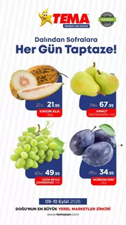 Tema Market kataloğu | Oferta | 2026-09-09T00:00:00.000Z - 2026-09-10T00:00:00.000Z
