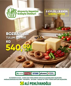 Ali Pehlivanoğlu kataloğu | Ali Pehlivanoğlu katalog | 2026-09-09T00:00:00.000Z - 2026-10-09T00:00:00.000Z