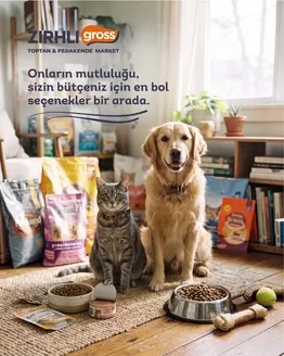Zırhlı Toptan market kataloğu | Özel fırsatlar ve indirimler | 2026-09-10T00:00:00.000Z - 2026-09-24T00:00:00.000Z
