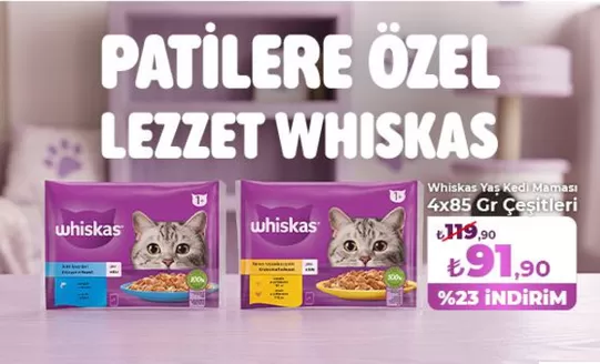 İyaş Hipermarket kataloğu, Gönen (Isparta) | Fırsat avcıları için harika teklifler | 2026-09-11T00:00:00.000Z - 2026-09-25T00:00:00.000Z