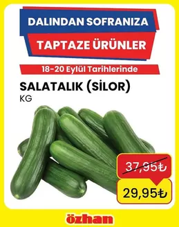 Özhan Market kataloğu, Döşemealtı | Sizin için özel teklifler | 2026-09-18T00:00:00.000Z - 2026-09-20T00:00:00.000Z