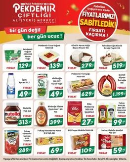 Pekdemir kataloğu, Döşemealtı | Geniş teklif yelpazesi | 2026-09-19T00:00:00.000Z - 2026-10-03T00:00:00.000Z