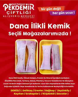 Pekdemir kataloğu | Cazip teklifleri keşfedin | 2026-09-20T00:00:00.000Z - 2026-10-04T00:00:00.000Z