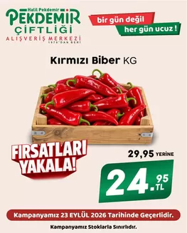 Pekdemir kataloğu, Menteş | Pekdemir katalog | 2026-09-23T00:00:00.000Z - 2026-09-23T00:00:00.000Z