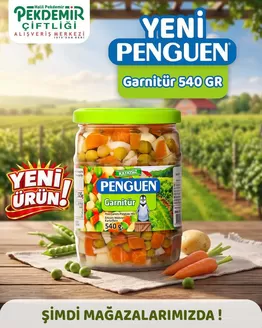 Pekdemir kataloğu | Pekdemir katalog | 2026-09-24T00:00:00.000Z - 2026-10-08T00:00:00.000Z