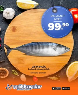Çelikkayalar kataloğu | Oferta | 2026-09-24T00:00:00.000Z - 2026-09-24T00:00:00.000Z
