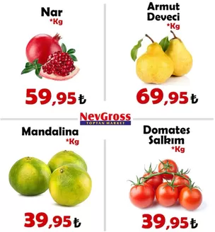 Nev Gross kataloğu | Oferta | 2026-09-24T00:00:00.000Z - 2026-09-24T00:00:00.000Z