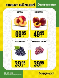 Başgimpa kataloğu | Oferta | 2026-09-25T00:00:00.000Z - 2026-09-27T00:00:00.000Z