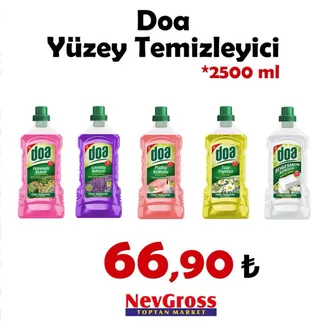 Nev Gross kataloğu | Oferta | 2026-09-25T00:00:00.000Z - 2026-09-25T00:00:00.000Z