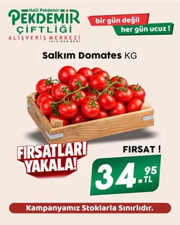 Pekdemir kataloğu, Çeştepe | Pekdemir katalog | 2026-09-27T00:00:00.000Z - 2026-10-11T00:00:00.000Z