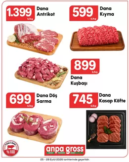 Anpa Gross kataloğu | Oferta | 2026-09-28T00:00:00.000Z - 2026-09-28T00:00:00.000Z