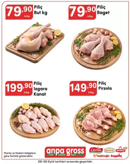 Anpa Gross kataloğu | Oferta | 2026-09-29T00:00:00.000Z - 2026-09-30T00:00:00.000Z