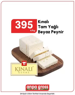 Anpa Gross kataloğu | Oferta | 2026-10-01T00:00:00.000Z - 2026-10-01T00:00:00.000Z