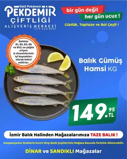 Pekdemir kataloğu | Pekdemir katalog | 2026-10-05T00:00:00.000Z - 2026-10-19T00:00:00.000Z