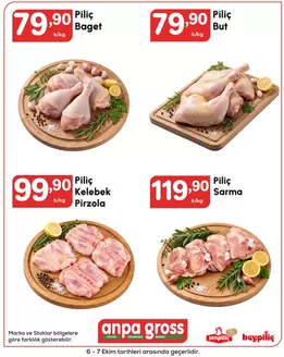 Anpa Gross kataloğu | Oferta | 2026-10-06T00:00:00.000Z - 2026-10-07T00:00:00.000Z