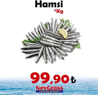 Nev Gross kataloğu | Oferta | 2026-10-06T00:00:00.000Z - 2026-10-06T00:00:00.000Z