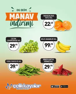 Çelikkayalar kataloğu | Oferta | 2026-10-06T00:00:00.000Z - 2026-10-06T00:00:00.000Z