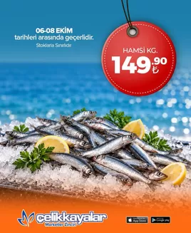 Çelikkayalar kataloğu | Oferta | 2026-10-07T00:00:00.000Z - 2026-10-08T00:00:00.000Z