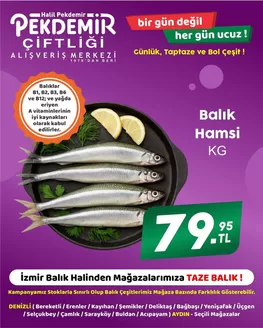 Pekdemir kataloğu | Güncel özel kampanyalar | 2026-10-08T00:00:00.000Z - 2026-10-22T00:00:00.000Z