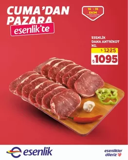 Esenlik kataloğu, Milas | Geniş teklif yelpazesi | 2026-10-16T00:00:00.000Z - 2026-10-18T00:00:00.000Z