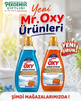Pekdemir kataloğu | Güncel fırsatlar ve teklifler | 2026-10-18T00:00:00.000Z - 2026-11-01T00:00:00.000Z