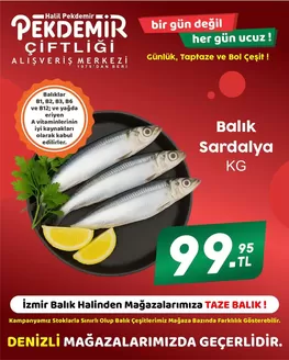 Pekdemir kataloğu | Güncel özel kampanyalar | 2026-10-28T00:00:00.000Z - 2026-11-11T00:00:00.000Z