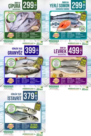 Pekdemir kataloğu, Alaşehir | GÜNLÜK TAZE | 2025-07-15T00:00:00.000Z - 2025-07-29T00:00:00.000Z