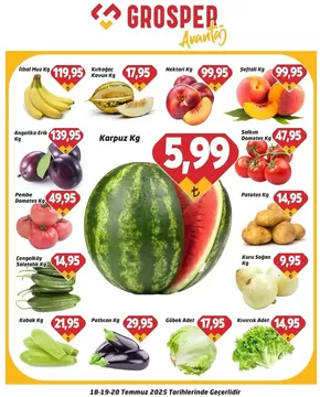Grosper kataloğu, İstanbul | Grosper katalog | 2025-07-18T00:00:00.000Z - 2025-07-20T00:00:00.000Z