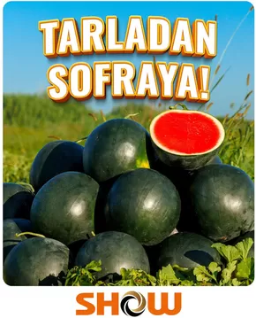 Show Market kataloğu | Show Market katalog | 2025-07-23T00:00:00.000Z - 2025-08-06T00:00:00.000Z