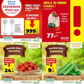 Pekdemir kataloğu | Katalog | 2025-07-30T00:00:00.000Z - 2025-08-13T00:00:00.000Z