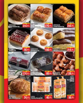 Seyhanlar kataloğu, Ilısu | Seyhanlar katalog | 2025-08-10T00:00:00.000Z - 2025-08-24T00:00:00.000Z