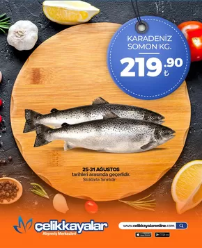 Çelikkayalar kataloğu | Kampanya | 2025-08-26T00:00:00.000Z - 2025-09-01T00:00:00.000Z