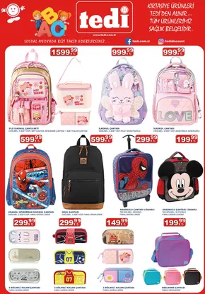 Tedi katalog